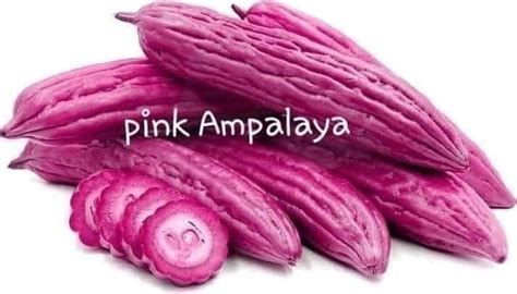 pambansang gulay ng pilipinas